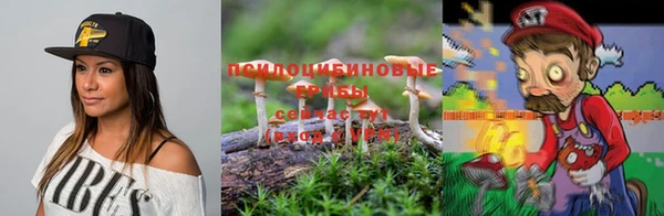 гидра Вяземский