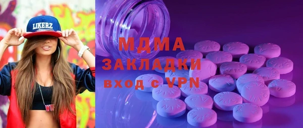 гидра Вяземский