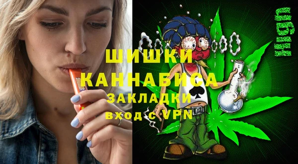 гидра Вяземский