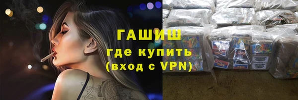 гидра Вяземский