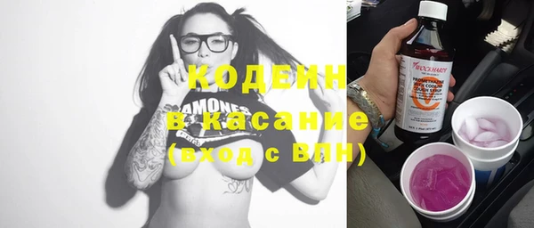гидра Вяземский