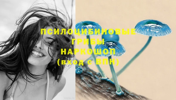 гидра Вяземский