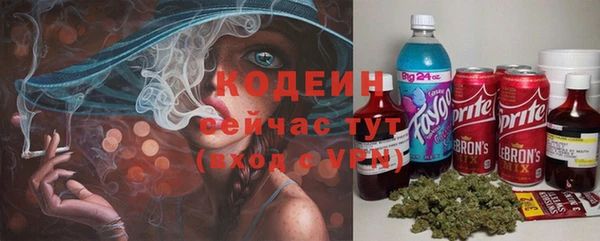 гидра Вяземский