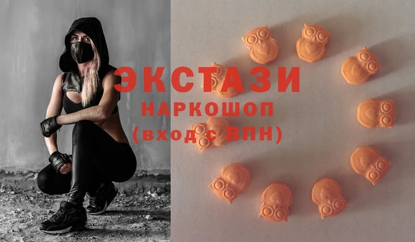 гидра Вяземский