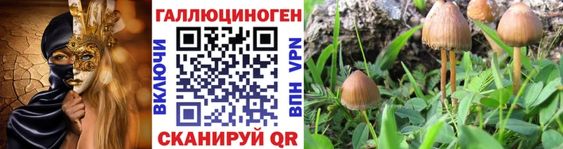 Галлюциногенные грибы мицелий  купить наркотик  Инза 